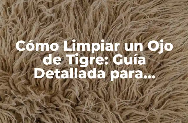 Cómo Limpiar un Ojo de Tigre: Guía Detallada para Mantener Su Brillo