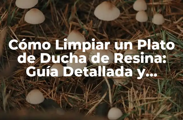 Cómo Limpiar un Plato de Ducha de Resina: Guía Detallada y Completa