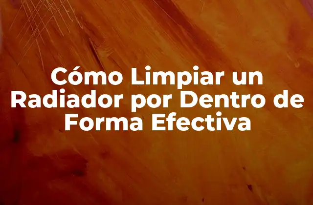 Cómo Limpiar un Radiador por Dentro de Forma Efectiva