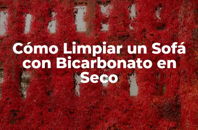 Cómo Limpiar un Sofá con Bicarbonato en Seco