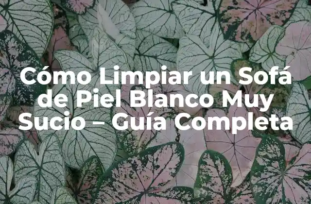 Cómo Limpiar un Sofá de Piel Blanco Muy Sucio – Guía Completa