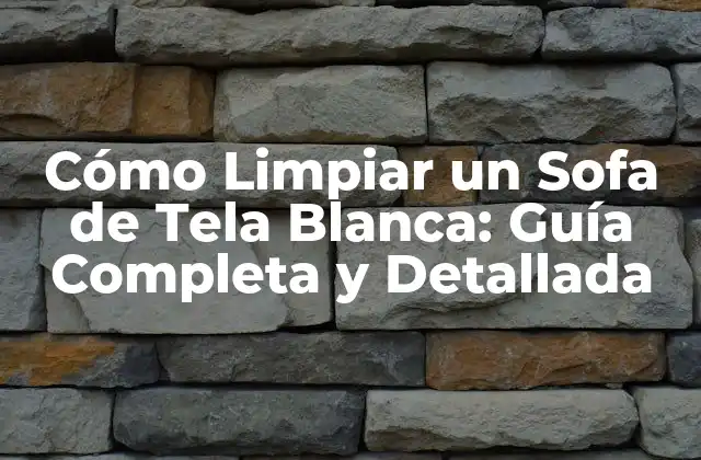 Cómo Limpiar un Sofa de Tela Blanca: Guía Completa y Detallada