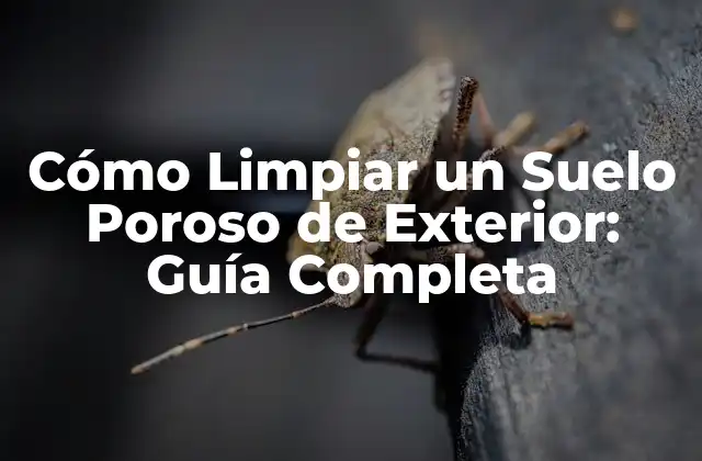 Cómo Limpiar un Suelo Poroso de Exterior: Guía Completa