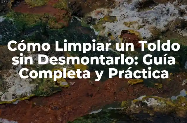 Cómo Limpiar un Toldo sin Desmontarlo: Guía Completa y Práctica