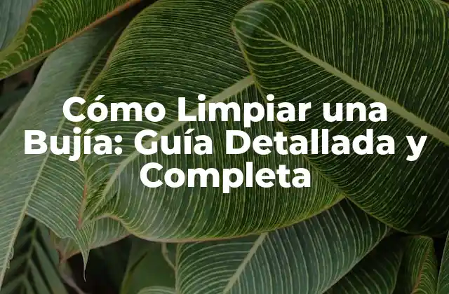 Cómo Limpiar una Bujía: Guía Detallada y Completa