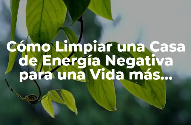 Cómo Limpiar una Casa de Energía Negativa para una Vida Más Armoniosa