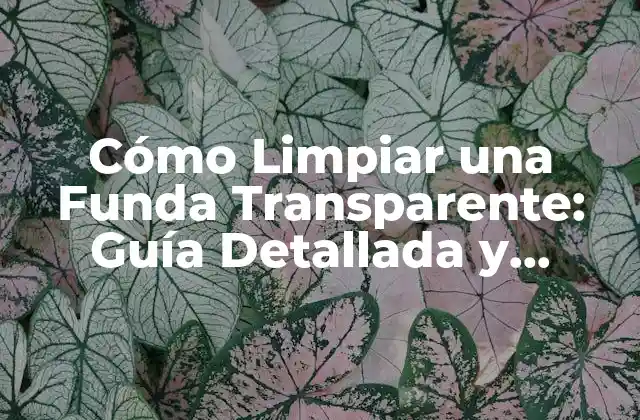 ¿Por qué es Importante Limpiar la Funda Transparente?