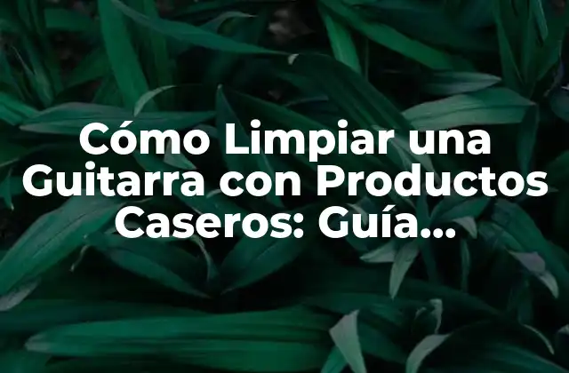 Cómo Limpiar una Guitarra con Productos Caseros: Guía Completa 2 ¿Por qué es importante limpiar tu guitarra?