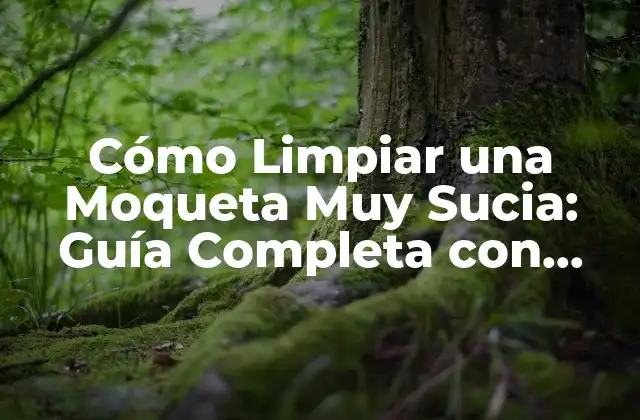 Cómo Limpiar una Moqueta Muy Sucia: Guía Completa con Trucos y Consejos