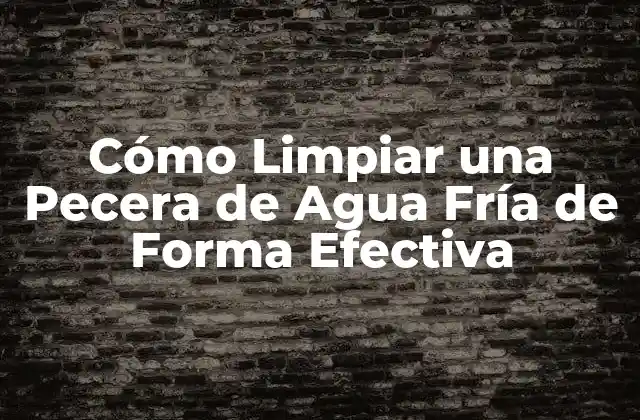 Cómo Limpiar una Pecera de Agua Fría de Forma Efectiva