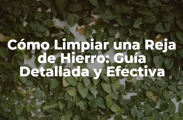 Cómo Limpiar una Reja de Hierro: Guía Detallada y Efectiva