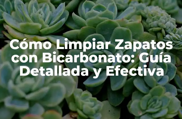Cómo Limpiar Zapatos con Bicarbonato: Guía Detallada y Efectiva