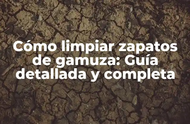 Cómo Limpiar Zapatos de Gamuza: Guía Detallada y Completa