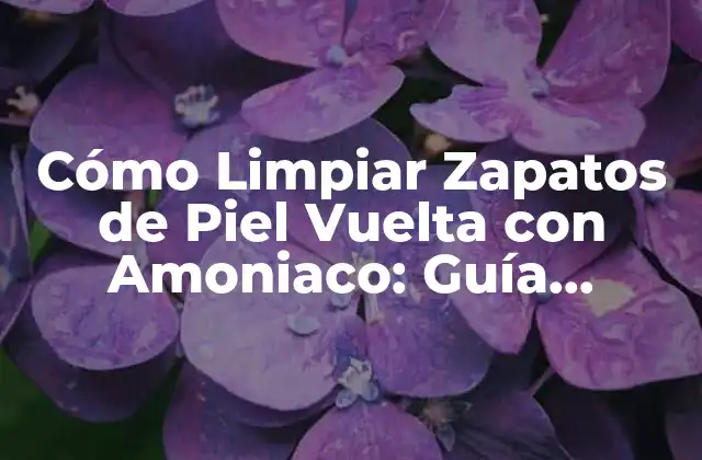 Cómo Limpiar Zapatos de Piel Vuelta con Amoniaco: Guía Completa