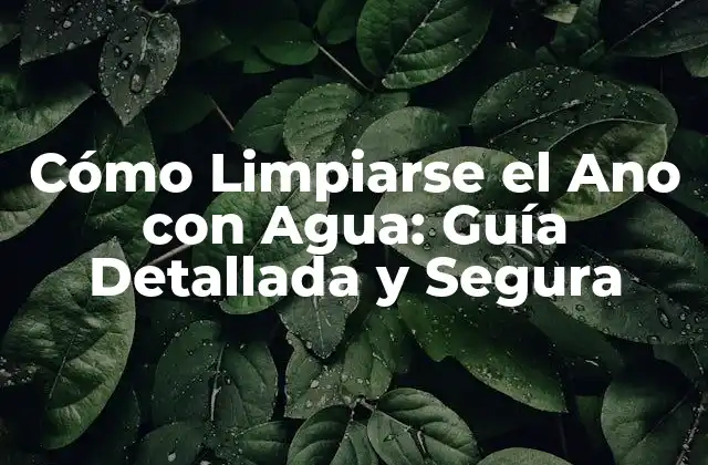Cómo Limpiarse el Ano con Agua: Guía Detallada y Segura