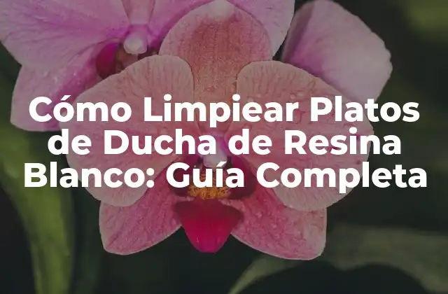 Cómo Limpiear Platos de Ducha de Resina Blanco: Guía Completa
