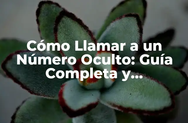 ¿Por qué las Personas Utilizan Números Ocultos?
