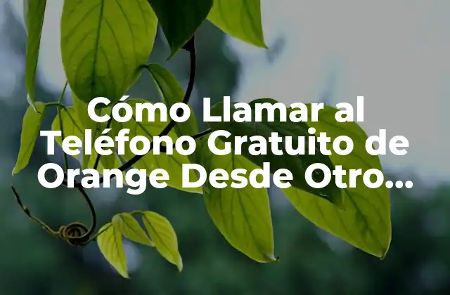 Cómo Llamar Al Teléfono Gratuito de Orange desde Otro Operador