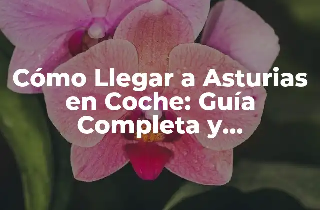 Preparación del Viaje: Checklist para Llegar a Asturias en Coche