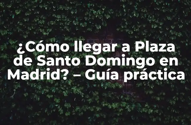 ¿cómo Llegar a Plaza de Santo Domingo en Madrid? – Guía Práctica