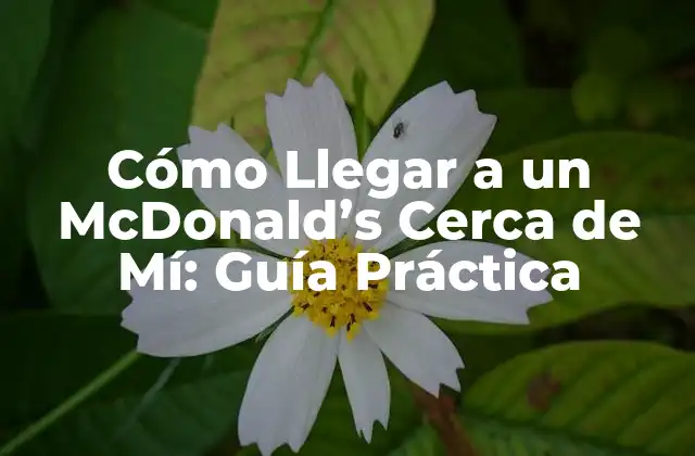 Cómo Llegar a un Mcdonald’s Cerca de Mí: Guía Práctica