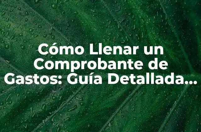 Cómo Llenar un Comprobante de Gastos: Guía Detallada y Práctica