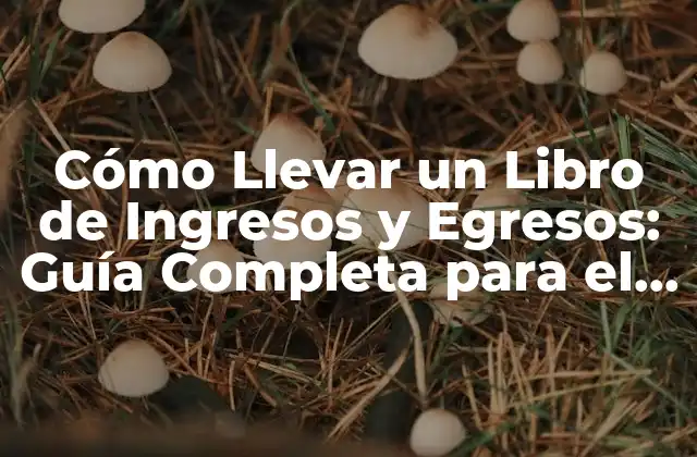 Cómo Llevar un Libro de Ingresos y Egresos: Guía Completa para el Manejo de Finanzas Personales