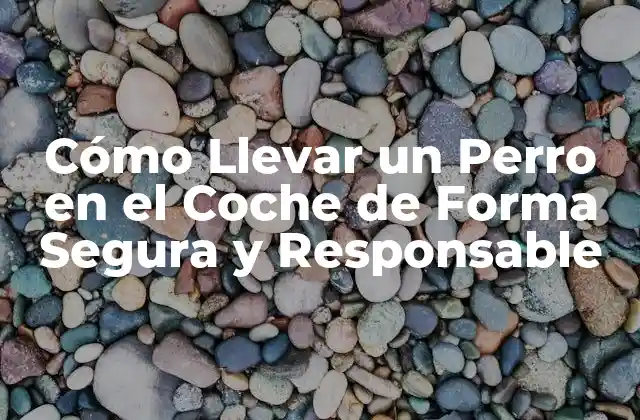 Cómo Llevar un Perro en el Coche de Forma Segura y Responsable