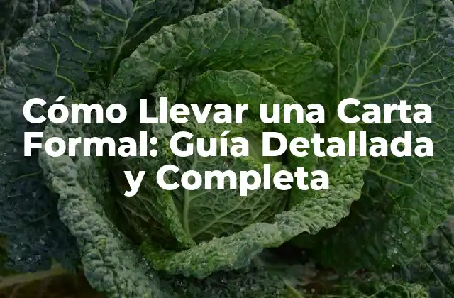 Cómo Llevar una Carta Formal: Guía Detallada y Completa