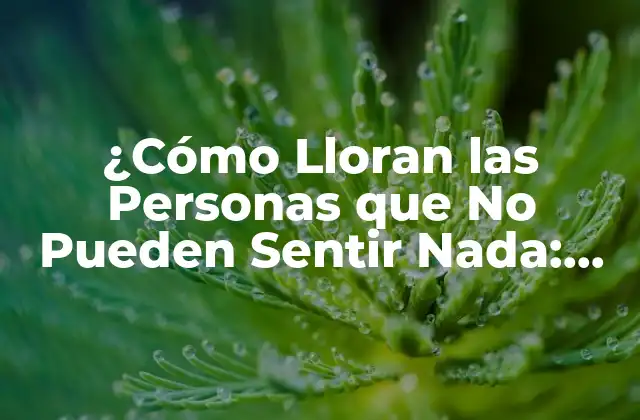 ¿cómo Lloran las Personas que No Pueden Sentir Nada: un Enigma Emocional