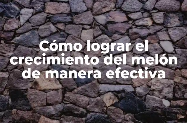 Cómo Lograr el Crecimiento Del Melón de Manera Efectiva