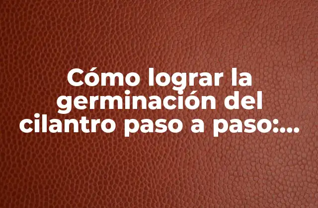 Cómo Lograr la Germinación Del Cilantro Paso a Paso: Guía Detallada