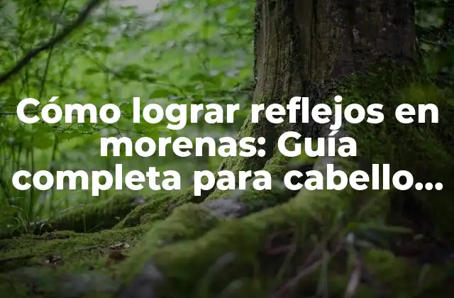 Cómo Lograr Reflejos en Morenas: Guía Completa para Cabello Moreno
