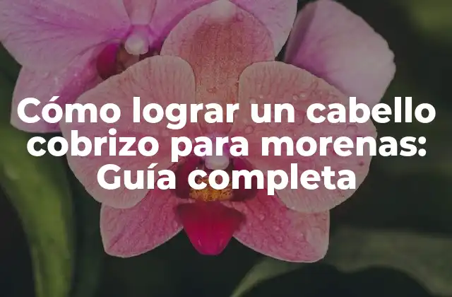 Cómo Lograr un Cabello Cobrizo para Morenas: Guía Completa