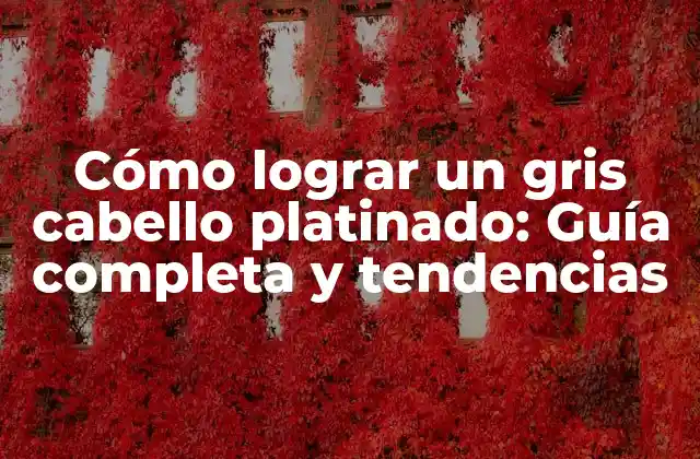 Cómo Lograr un Gris Cabello Platinado: Guía Completa y Tendencias