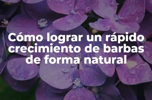 Cómo Lograr un Rápido Crecimiento de Barbas de Forma Natural