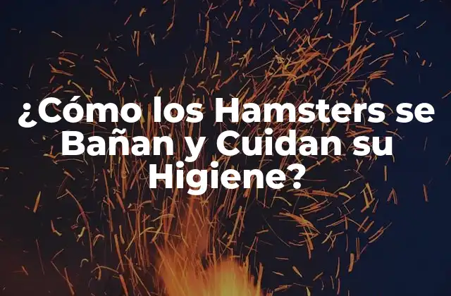 ¿cómo los Hamsters Se Bañan y Cuidan Su Higiene?