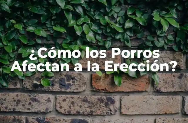 ¿cómo los Porros Afectan a la Erección?