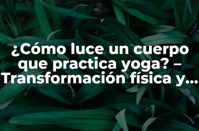 ¿cómo Luce un Cuerpo que Practica Yoga? – Transformación Física y Mental