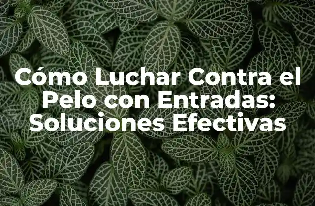Cómo Luchar contra el Pelo con Entradas: Soluciones Efectivas