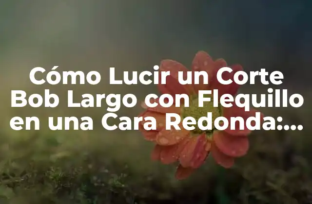 Cómo Lucir un Corte Bob Largo con Flequillo en una Cara Redonda: Guía Completa 2 Características de la Cara Redonda y su Relación con el Corte Bob Largo
