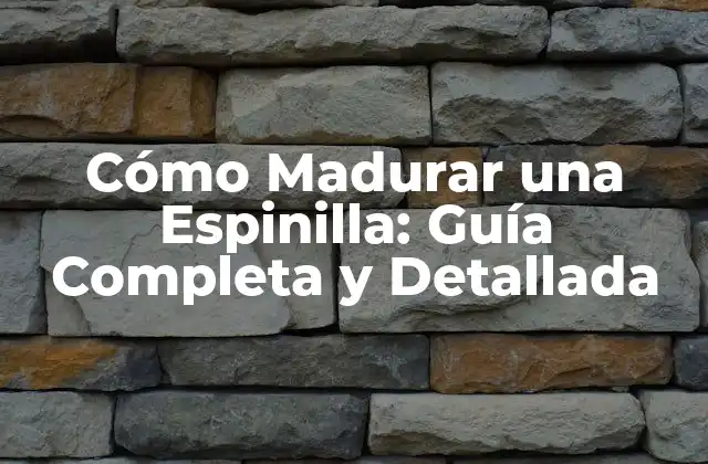 Cómo Madurar una Espinilla: Guía Completa y Detallada 2 ¿Cuándo se Considera que una Espinilla está Madura?