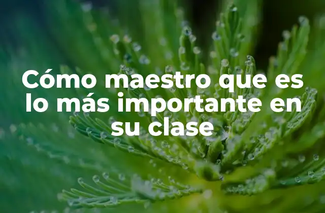 Cómo Maestro que es Lo Más Importante en Su Clase