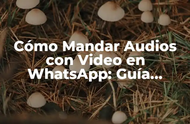 Requisitos para Enviar Audios con Video en WhatsApp