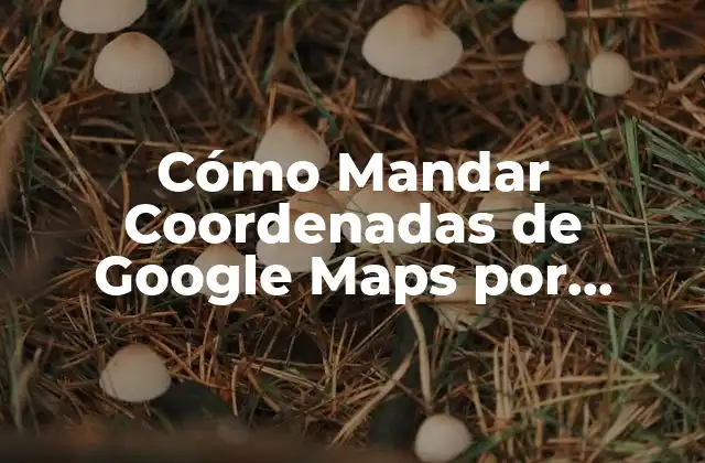 Cómo Mandar Coordenadas de Google Maps por Whatsapp de Forma Rápida y Fácil