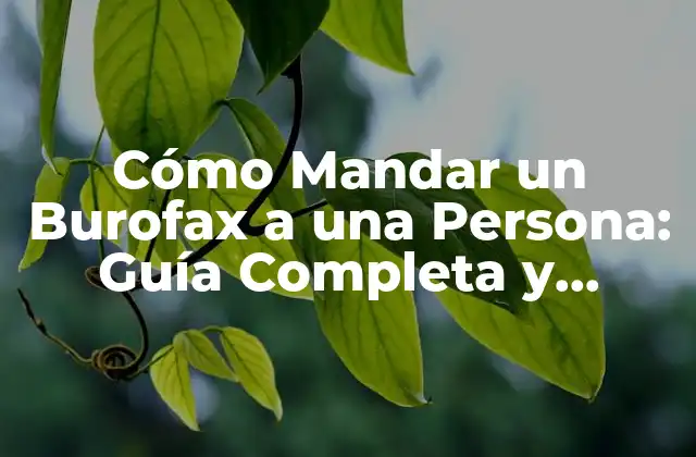 Cómo Mandar un Burofax a una Persona: Guía Completa y Actualizada