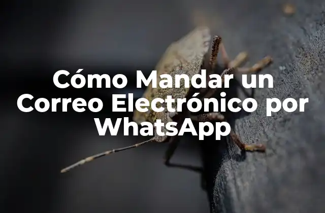 Cómo Mandar un Correo Electrónico por Whatsapp