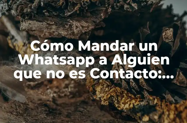 Cómo Mandar un Whatsapp a Alguien que No es Contacto: Guía Detallada