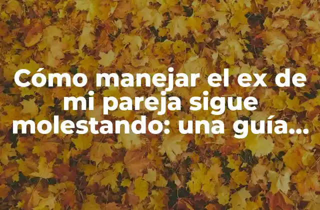 Cómo Manejar el Ex de Mi Pareja Sigue Molestando: una Guía para Encontrar la Paz