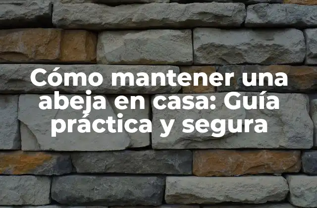 Cómo Mantener una Abeja en Casa: Guía Práctica y Segura